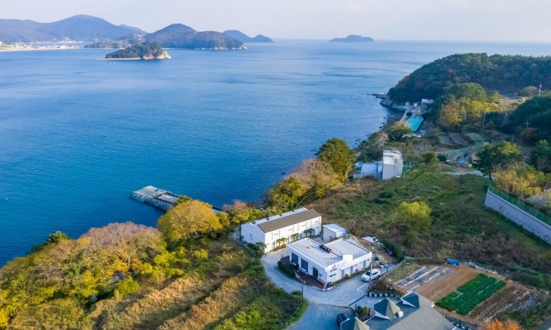 대표 사진