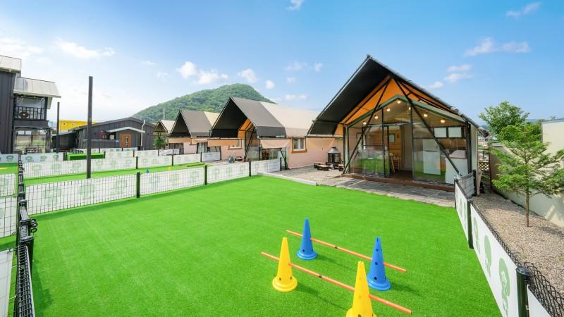 Gapyeong Doggie Dog Pension Glamping Gold