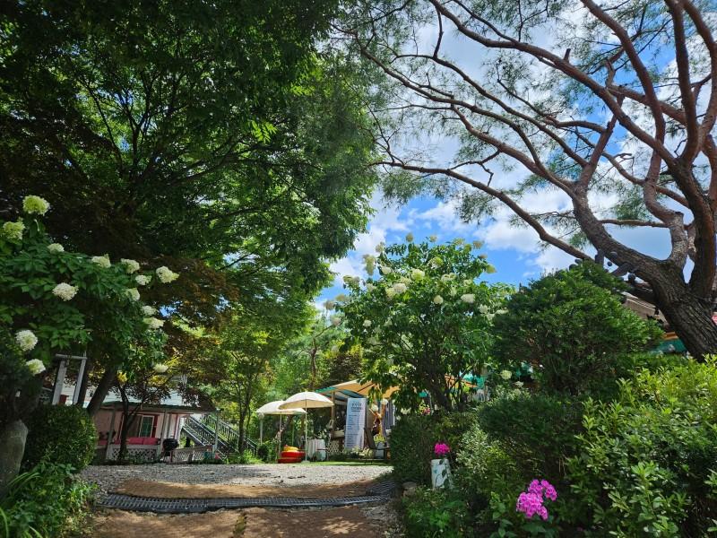 Gapyeong Flower Muji Pension (near the valley)-53
