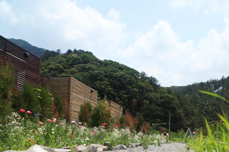 Gapyeong 240st Pool Villa-10