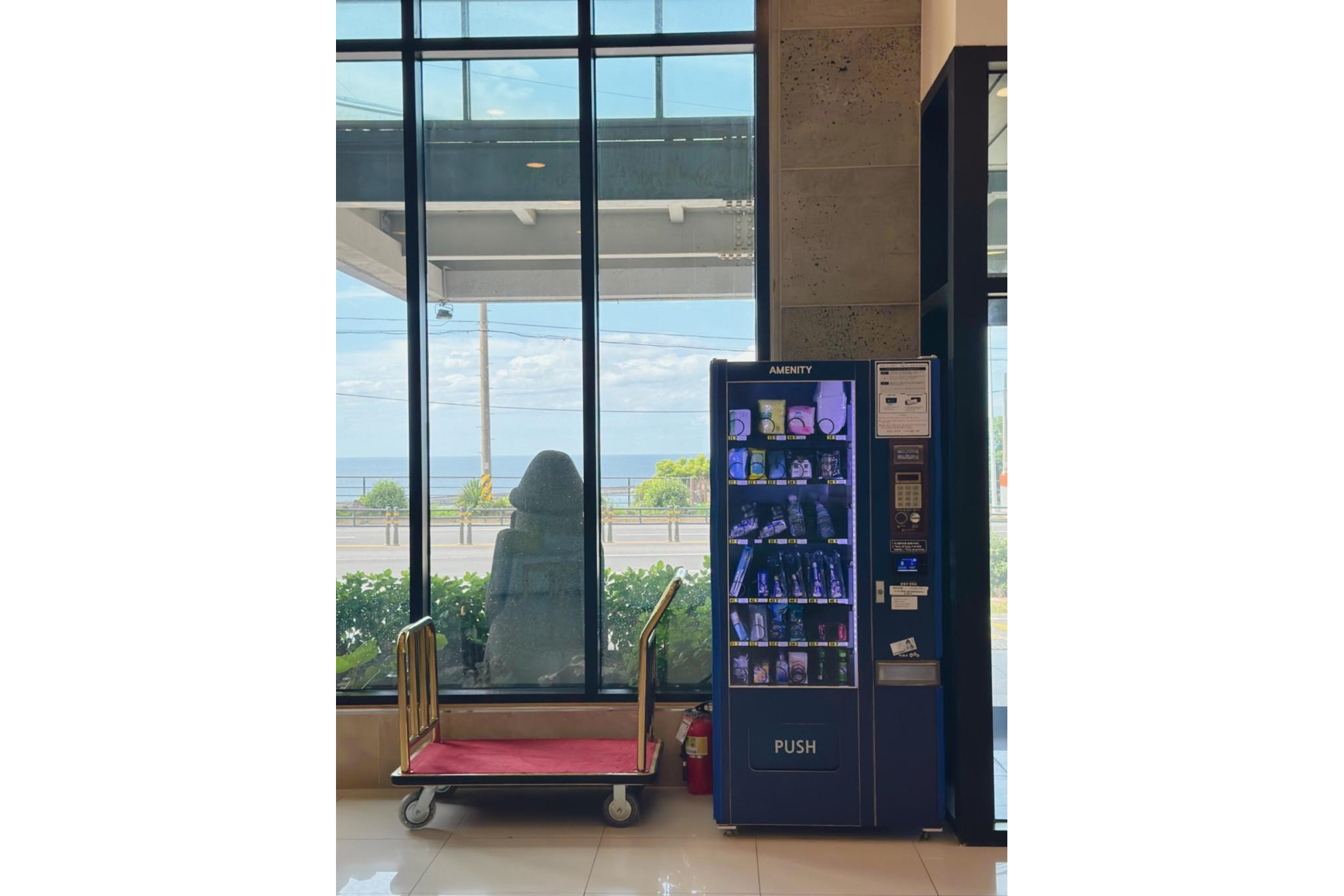 대표 사진