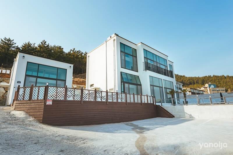대표 사진