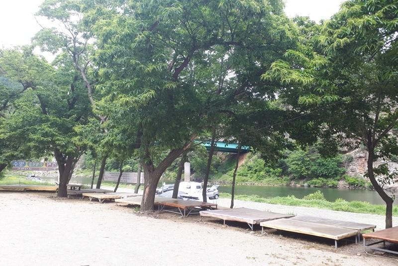 대표 사진
