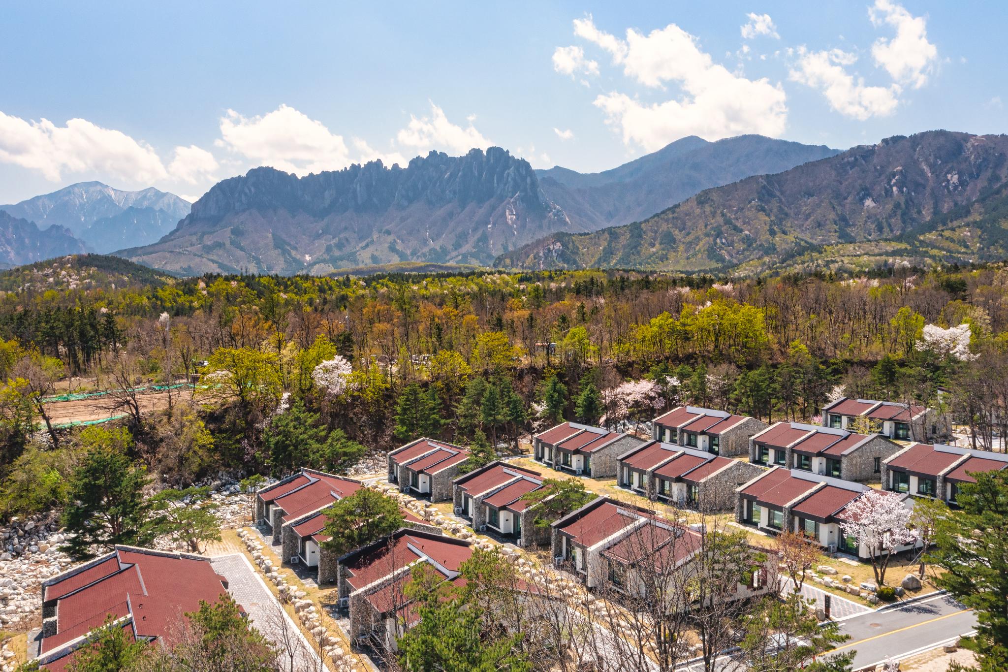 대표 사진