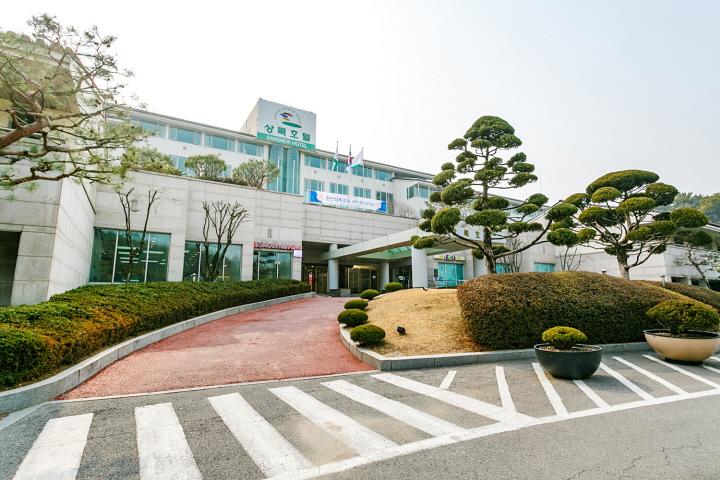 대표 사진