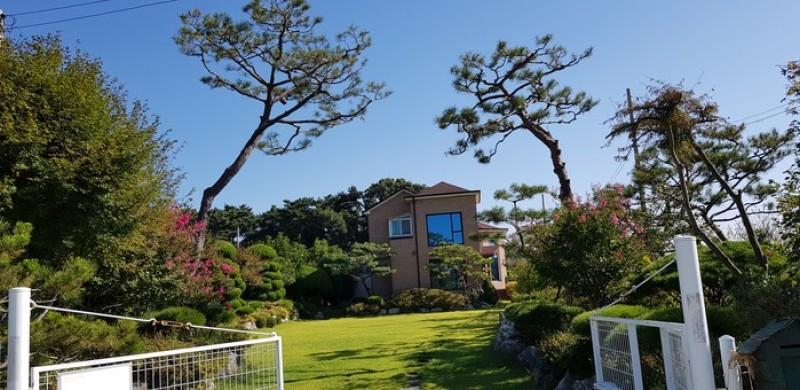 Daebudo Tasha&#39;s Garden Pension-10