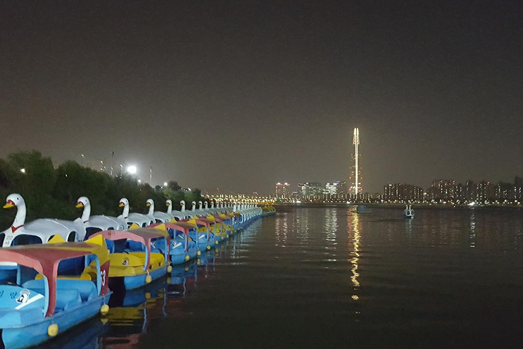 Seoul Forest Stay-87