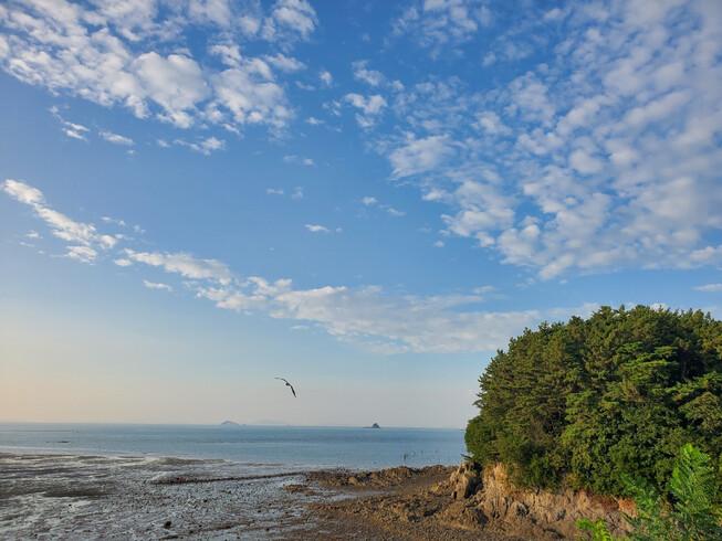 Haemaru Pension-8