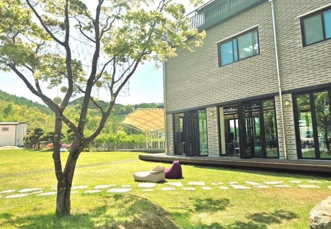 대표 사진