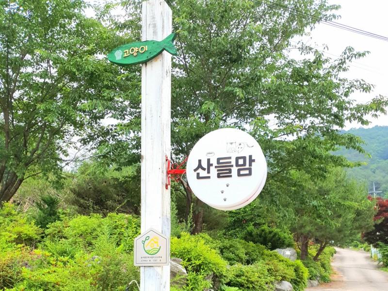 대표 사진