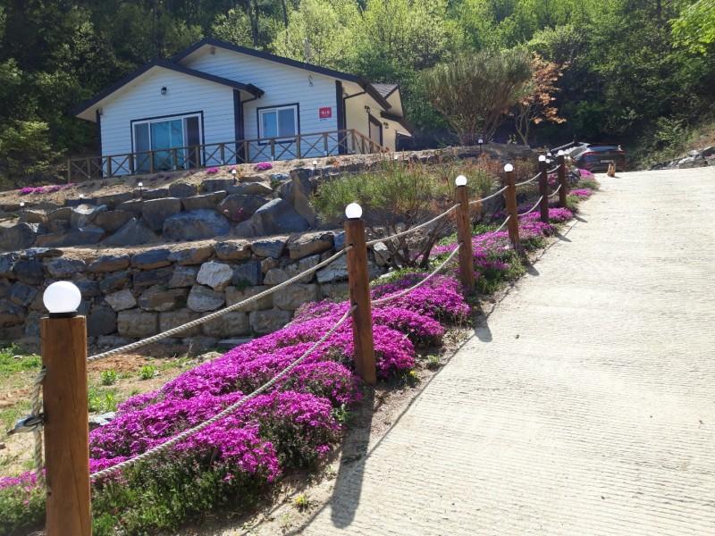 Okcheon Mulangae Pension