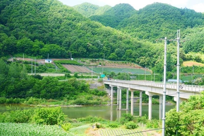 대표 사진
