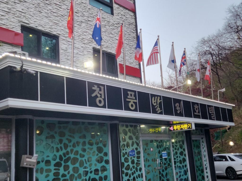 대표 사진