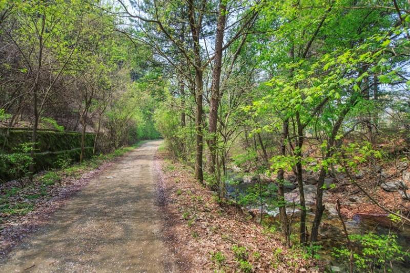 Yangpyeong Boseoksangja Pension-43