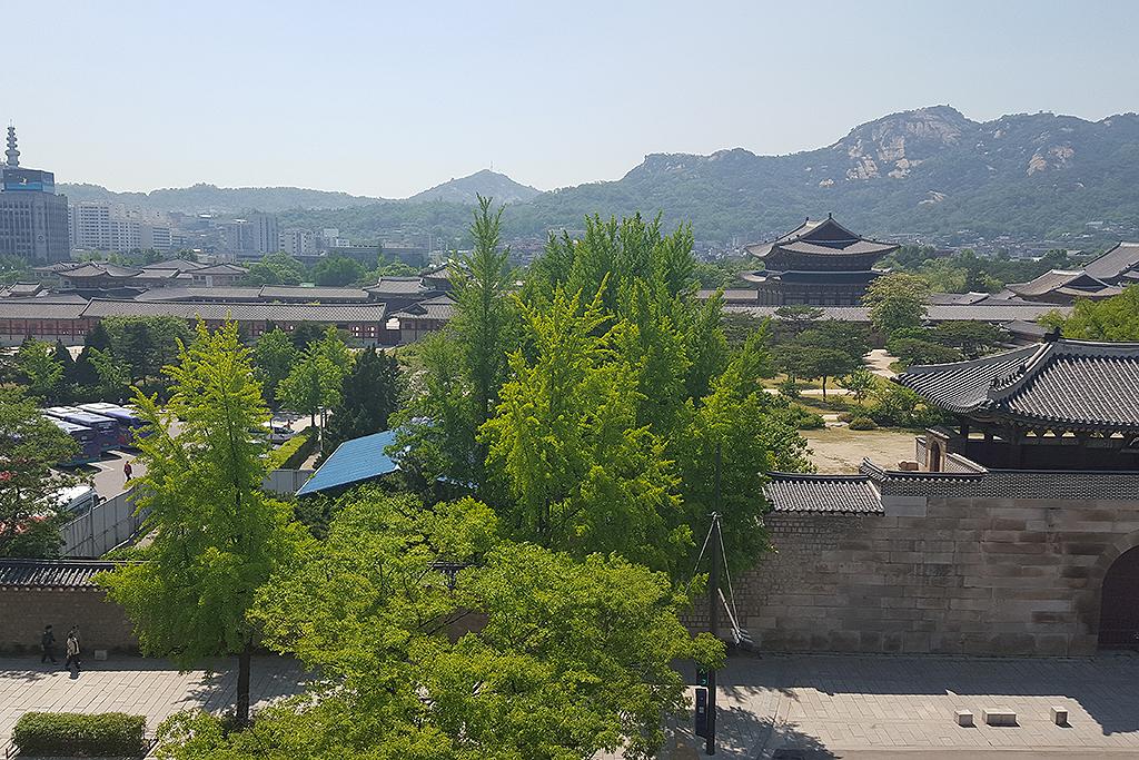 Seoul Woo Guesthouse-16