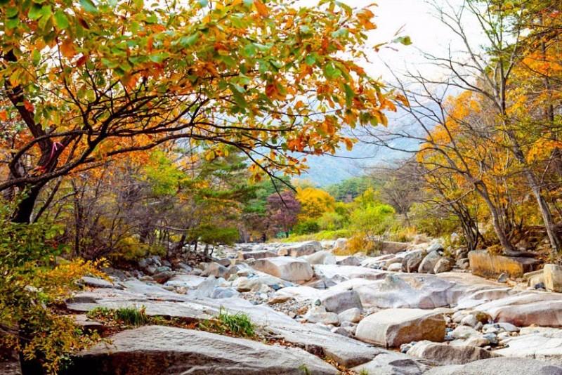 숙소 시설