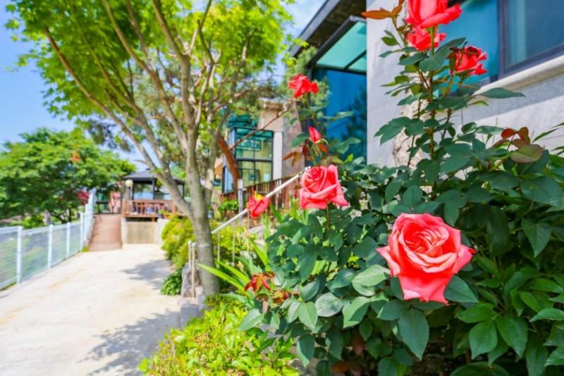 Yangpyeong Saesoon Pension-8