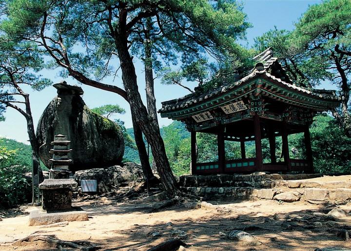 대표 사진