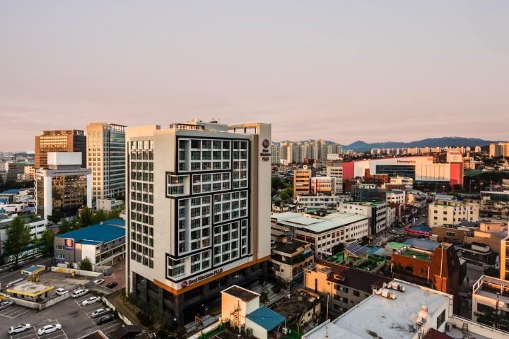 대표 사진