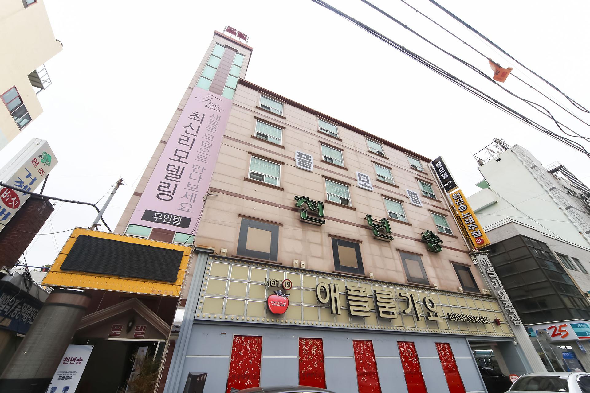 대표 사진