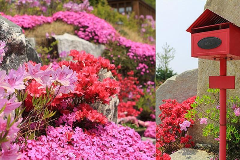 Seokmodo Stella Pension-15