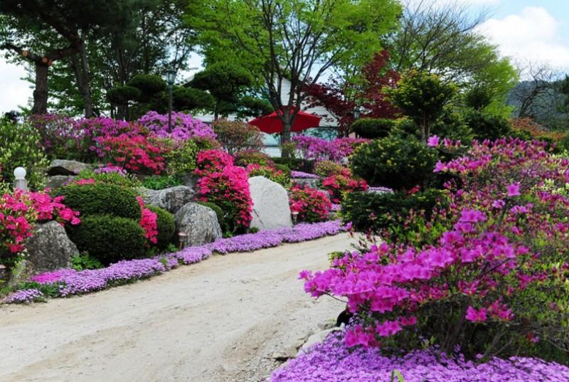 Gapyeong Flower Muji Pension (near the valley)-76