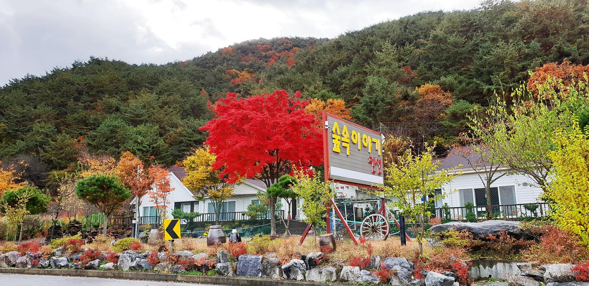 Goesan Forest Story Pension