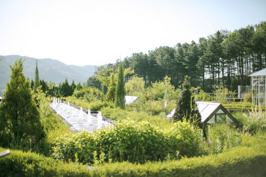 Eden Paradise Hotel Icheon-51