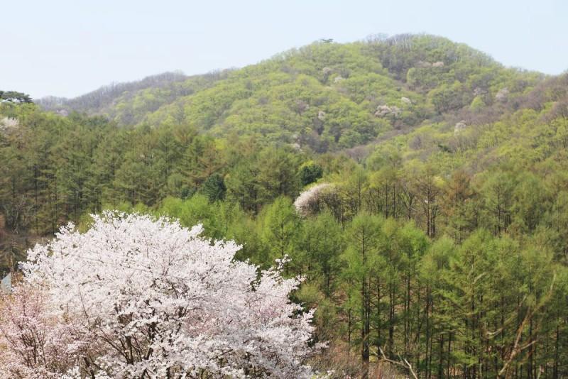 숙소 시설