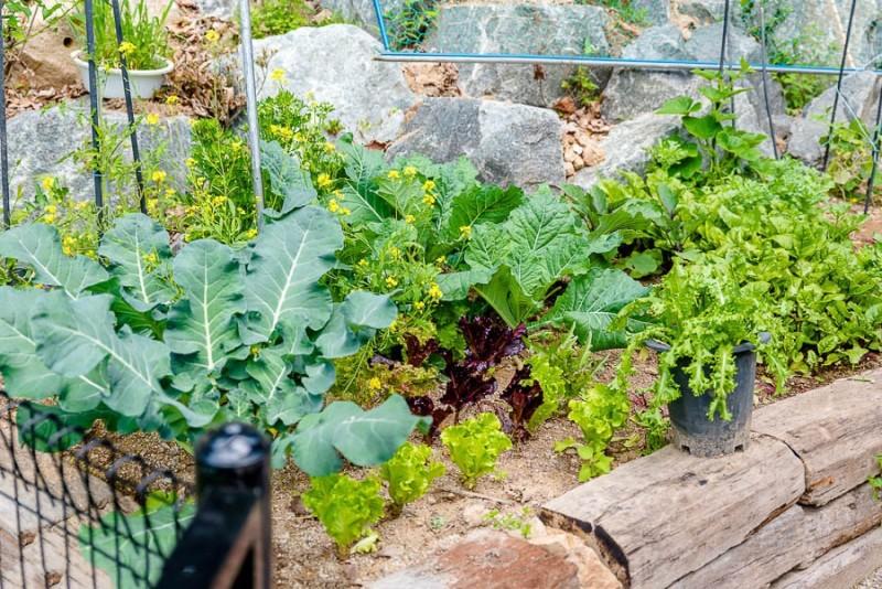 Yangpyeong Vivaldi Unshared House Pension-40