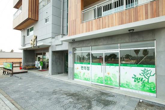 Seogwipo Happy Tree Pension-12