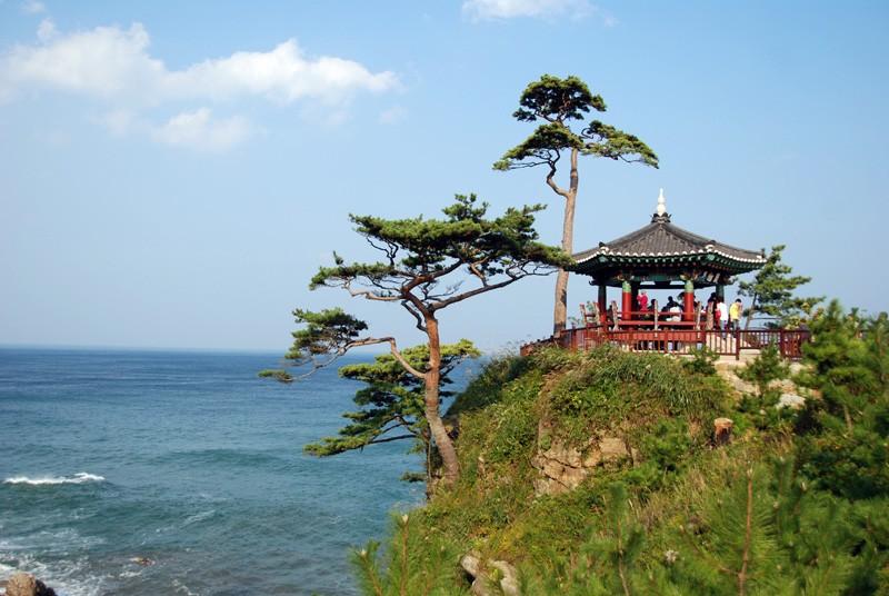 대표 사진
