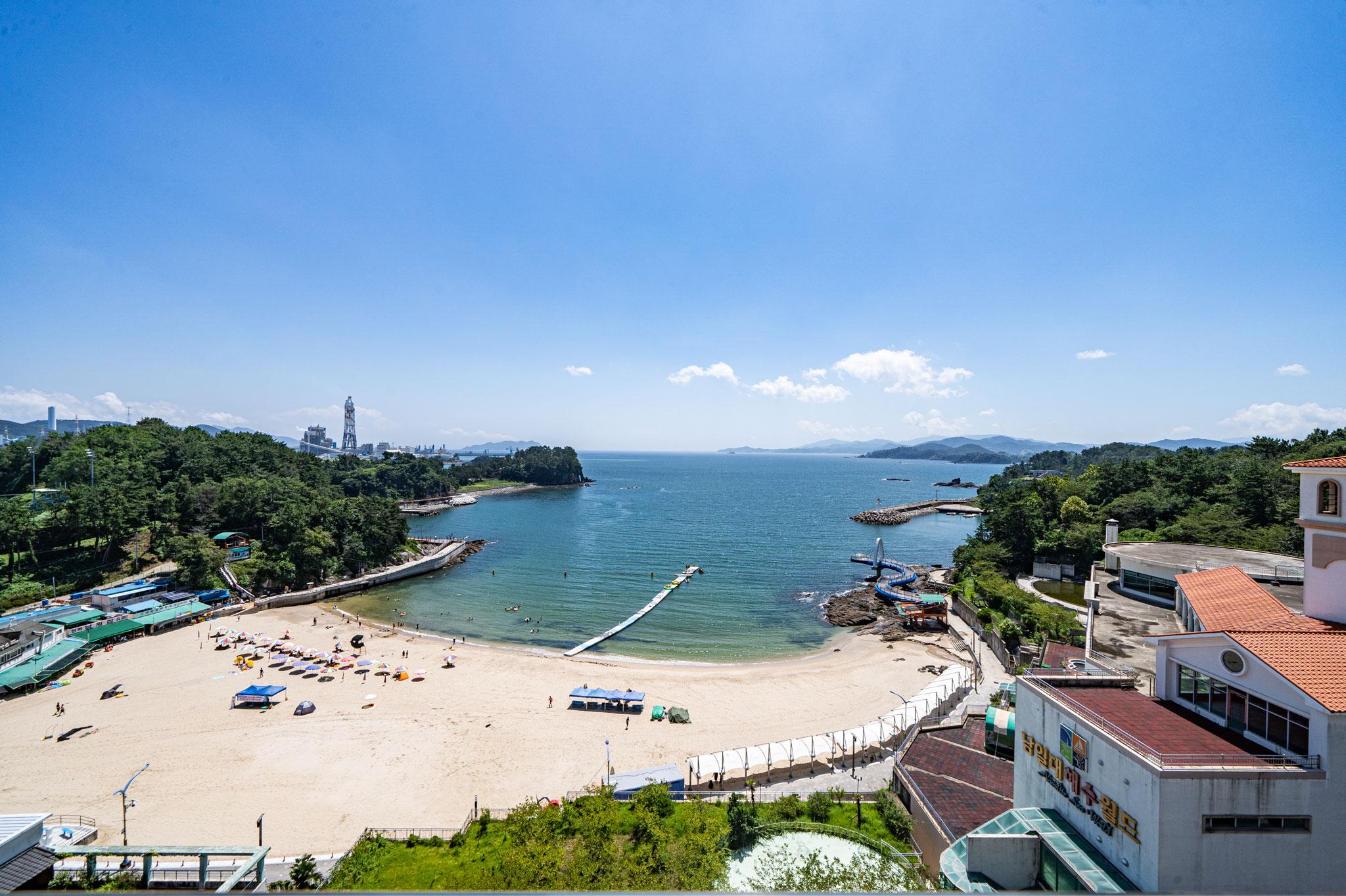 대표 사진