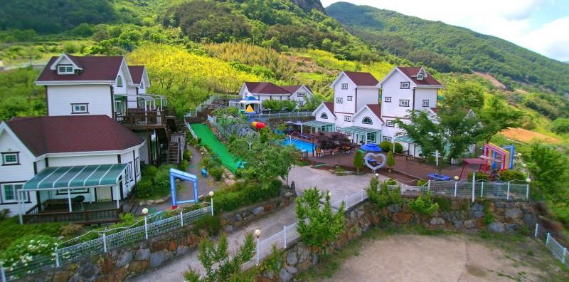 대표 사진