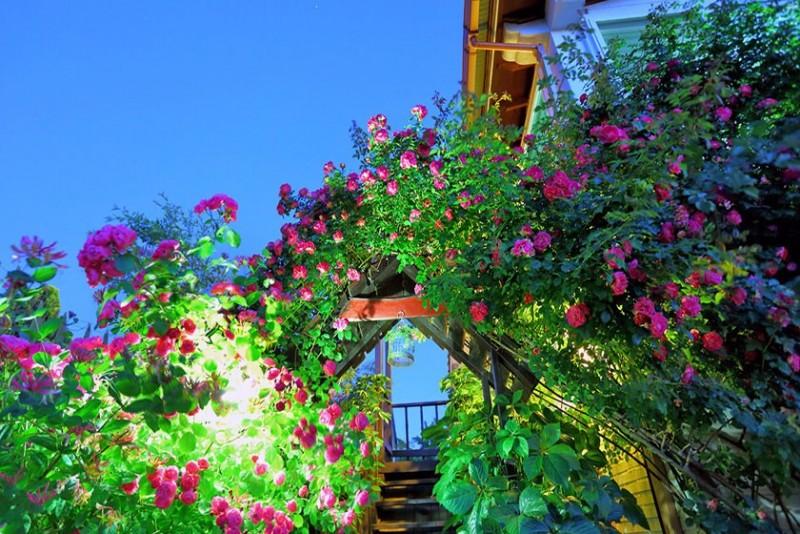 Ganghwado Maison Stella Pension-24