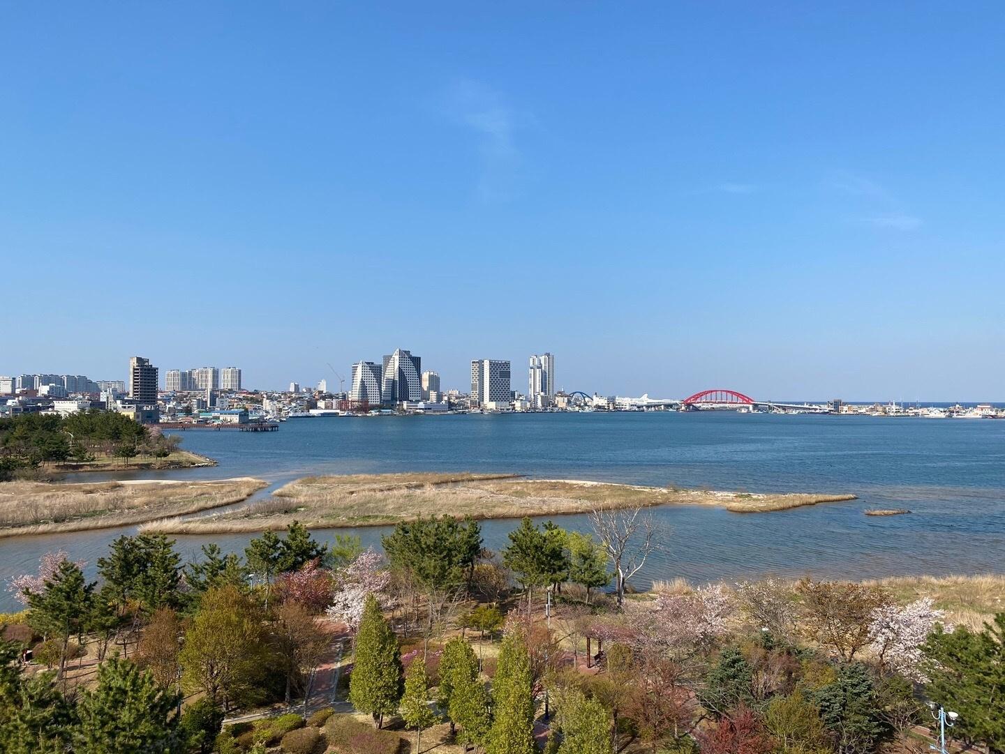 대표 사진