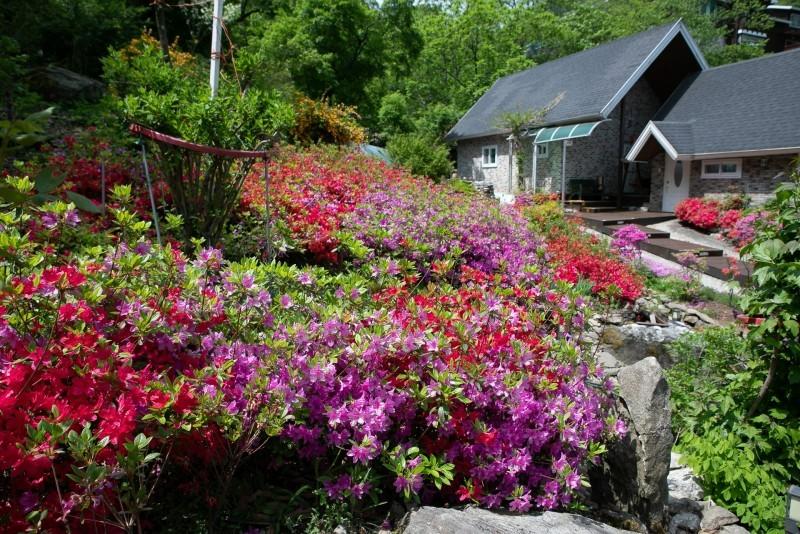 Gapyeong Valley Pension Luan (Valley in front of the pension)-32