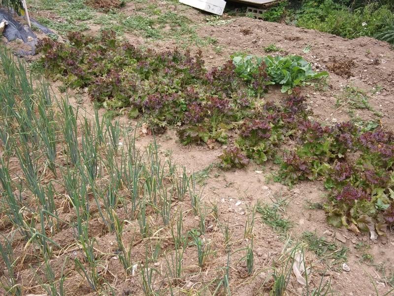 Ganghwado Yetteul Pension-15