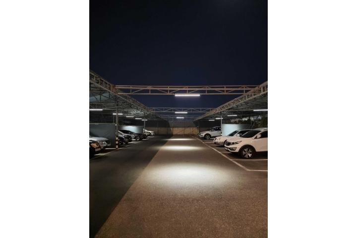 대표 사진
