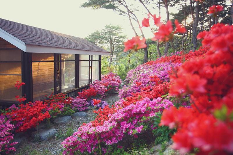 숙소 시설