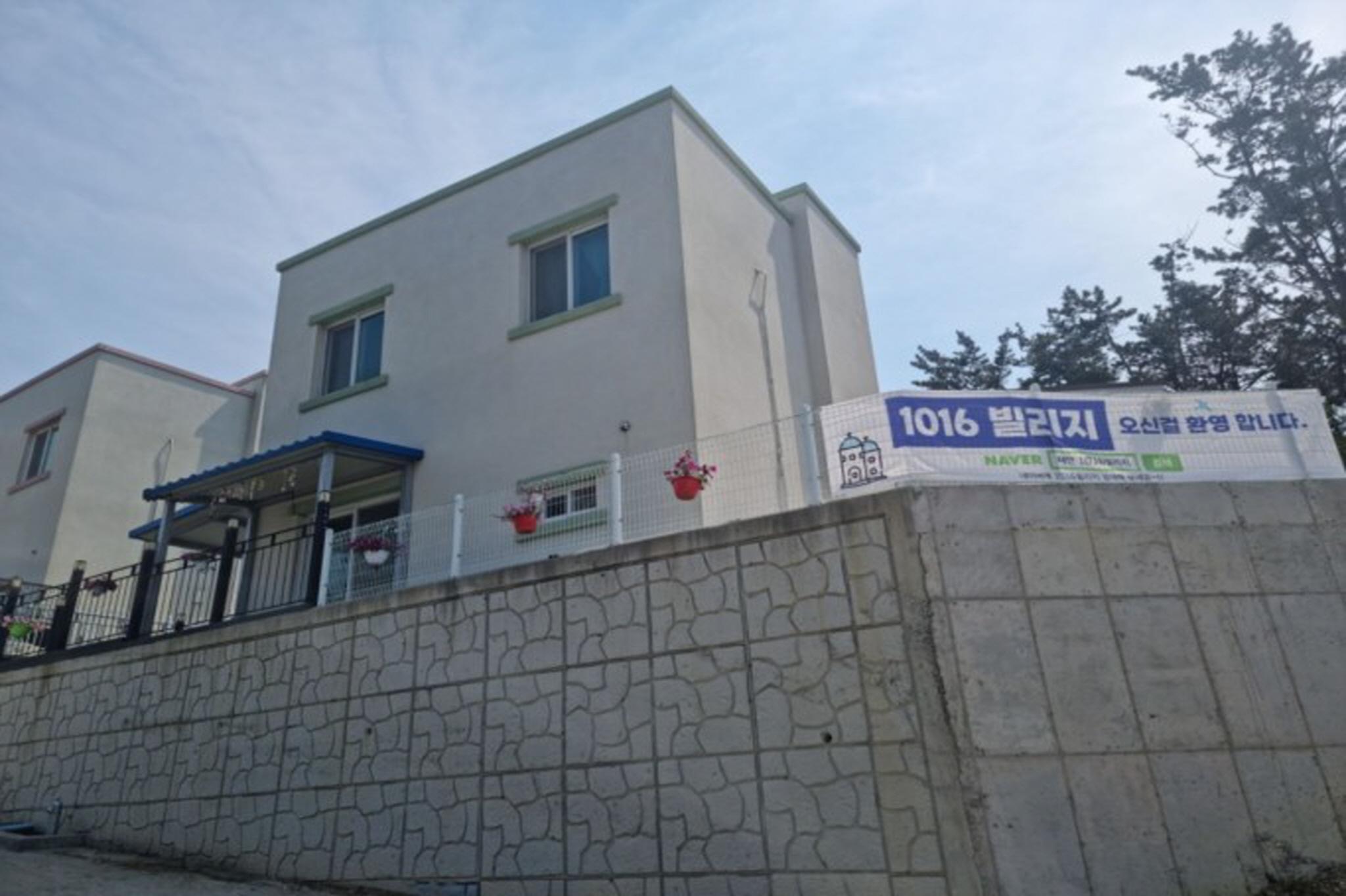 대표 사진