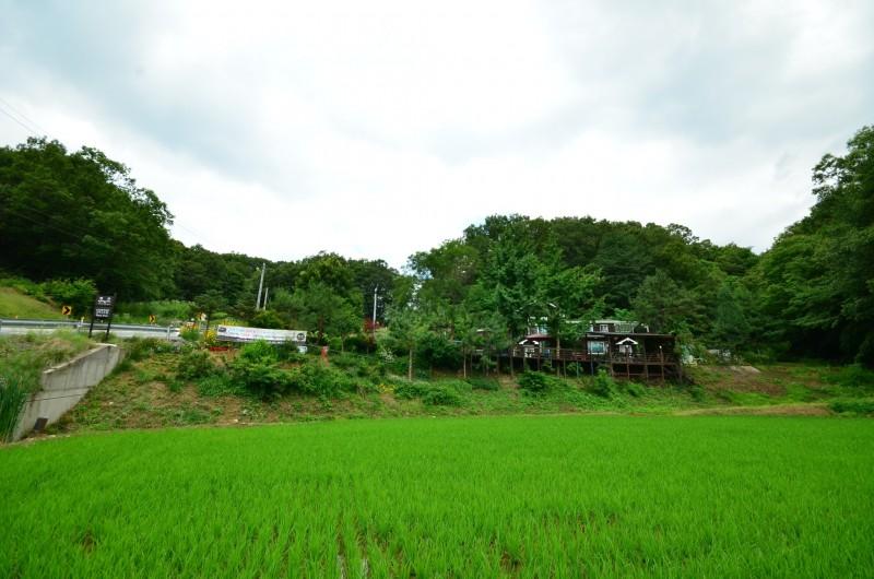 Yeoju Pureunhaneul Eunhasu Pension-78