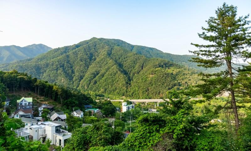 대표 사진