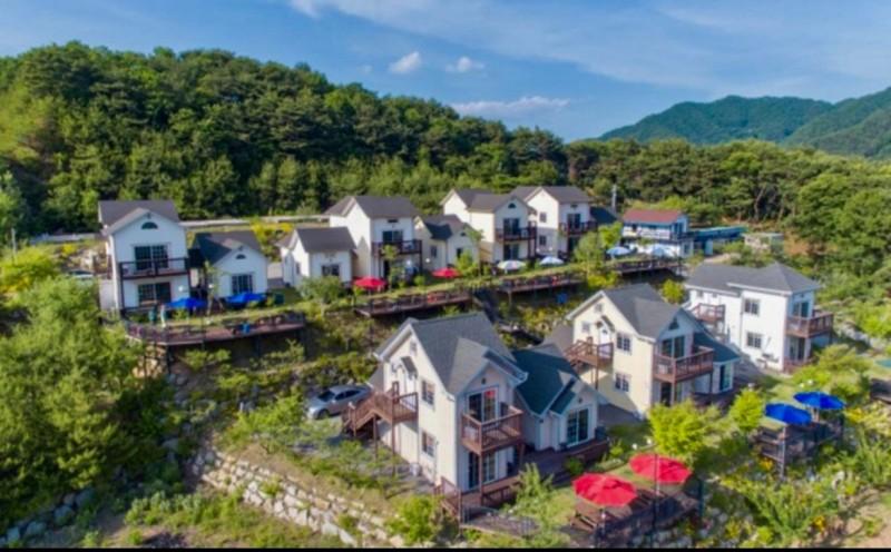 대표 사진
