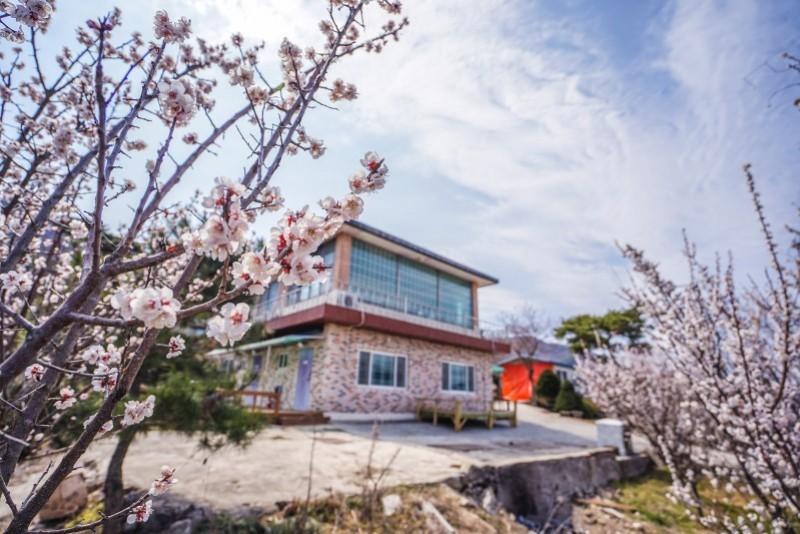 대표 사진