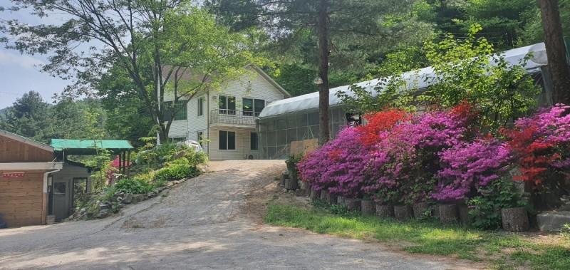 Hwacheon Sintobule Pension