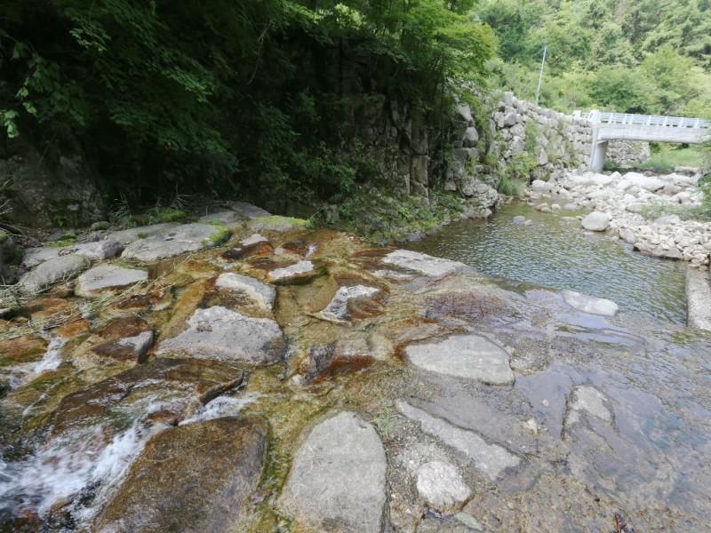 대표 사진