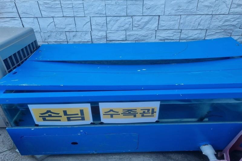 대표 사진