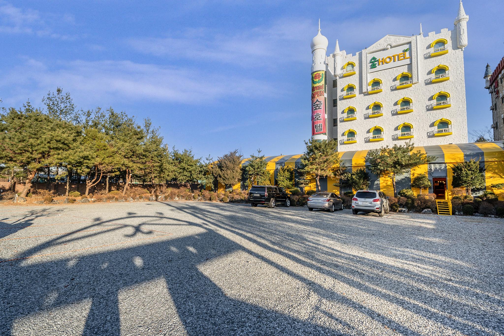 대표 사진