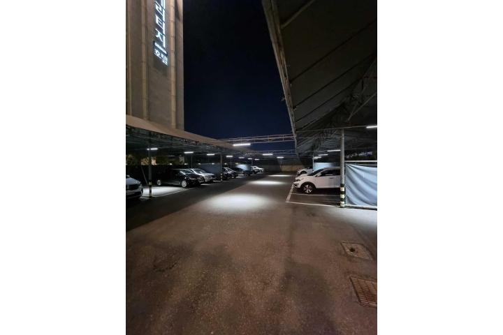 대표 사진